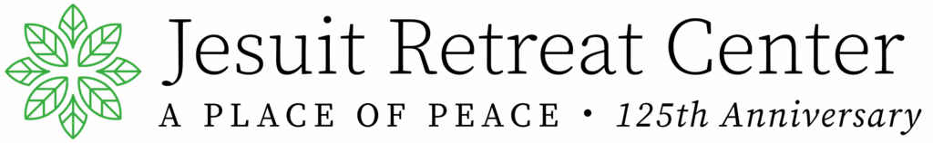 20px